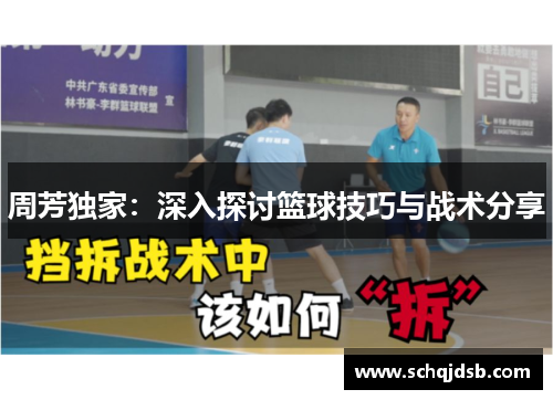 周芳独家：深入探讨篮球技巧与战术分享