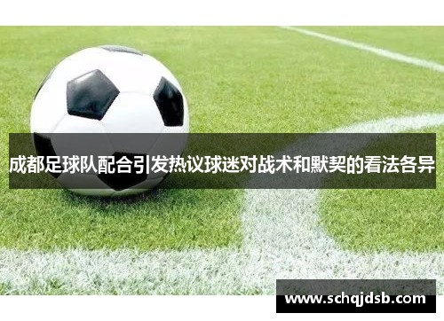 成都足球队配合引发热议球迷对战术和默契的看法各异